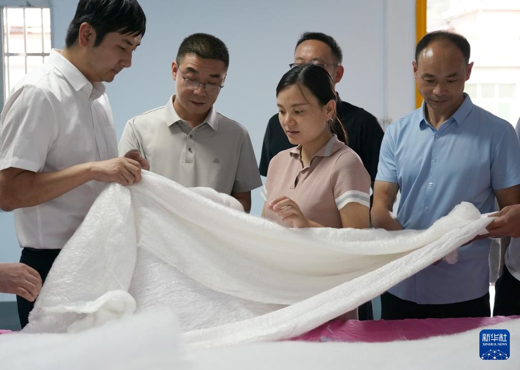 陕西安康：第一书记聚合力促振兴