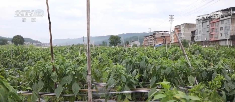 受灾地区迅速开展灾后重建工作 群众生产生活秩序有序恢复