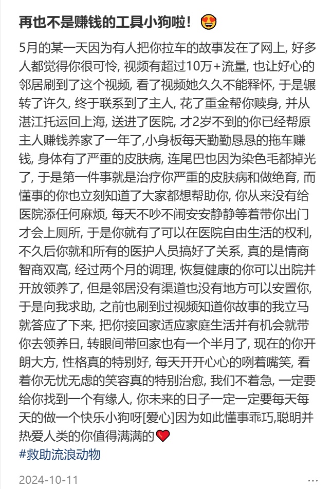 “你再也不是赚钱工具了！”上海女生千里远赴湛江解救，全网心疼的故事有后续了