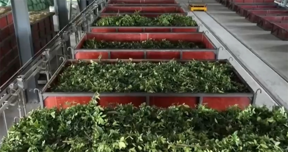 良机良法“智”绘夏播图 科技为秋粮“丰”景打好基础