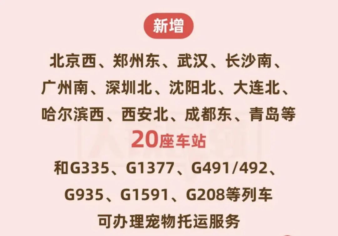 38趟动车组！“毛孩子”能坐的高铁线路加加加