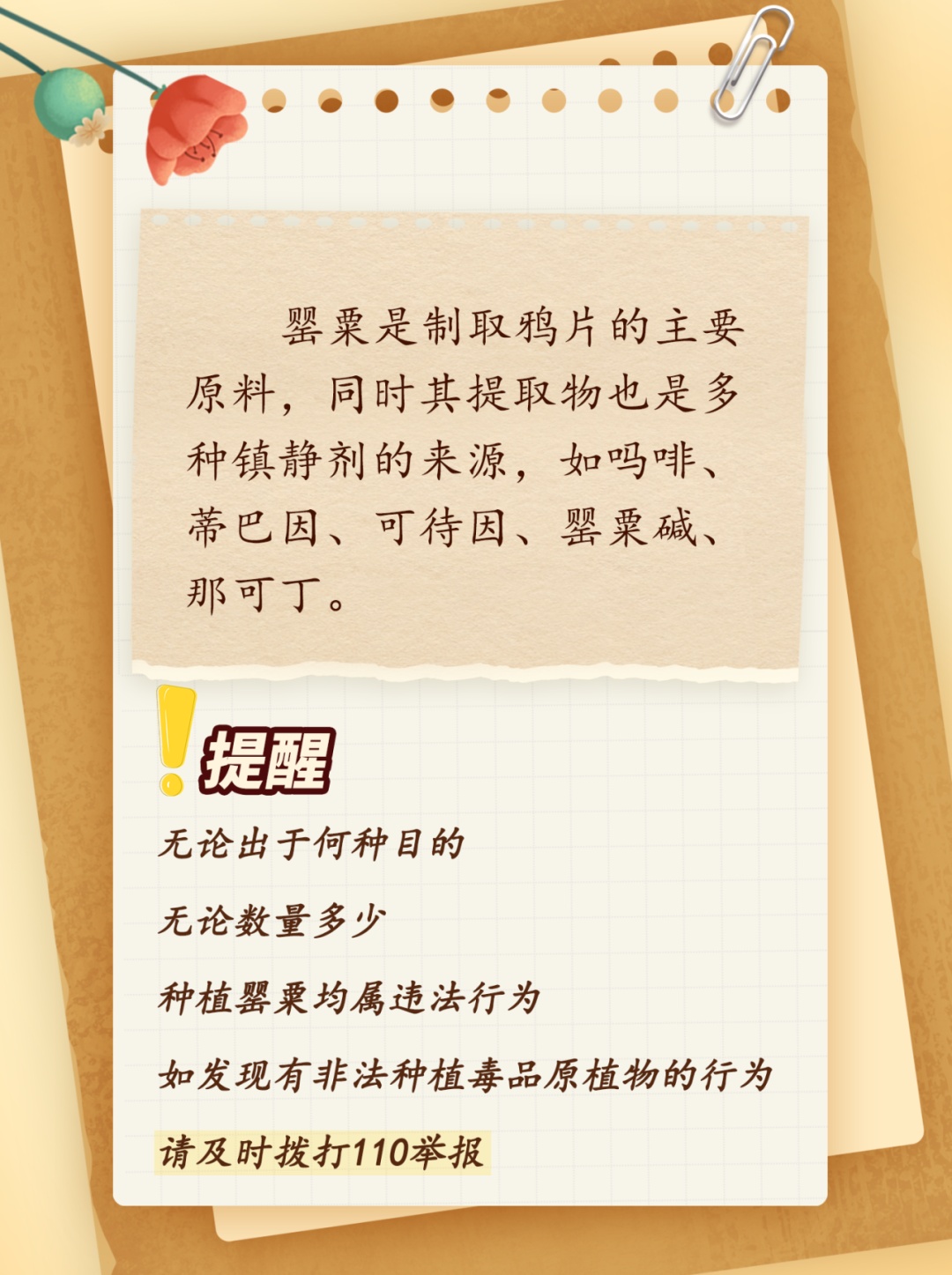这些禁毒知识你了解多少? 这些禁毒知识你了解多少?