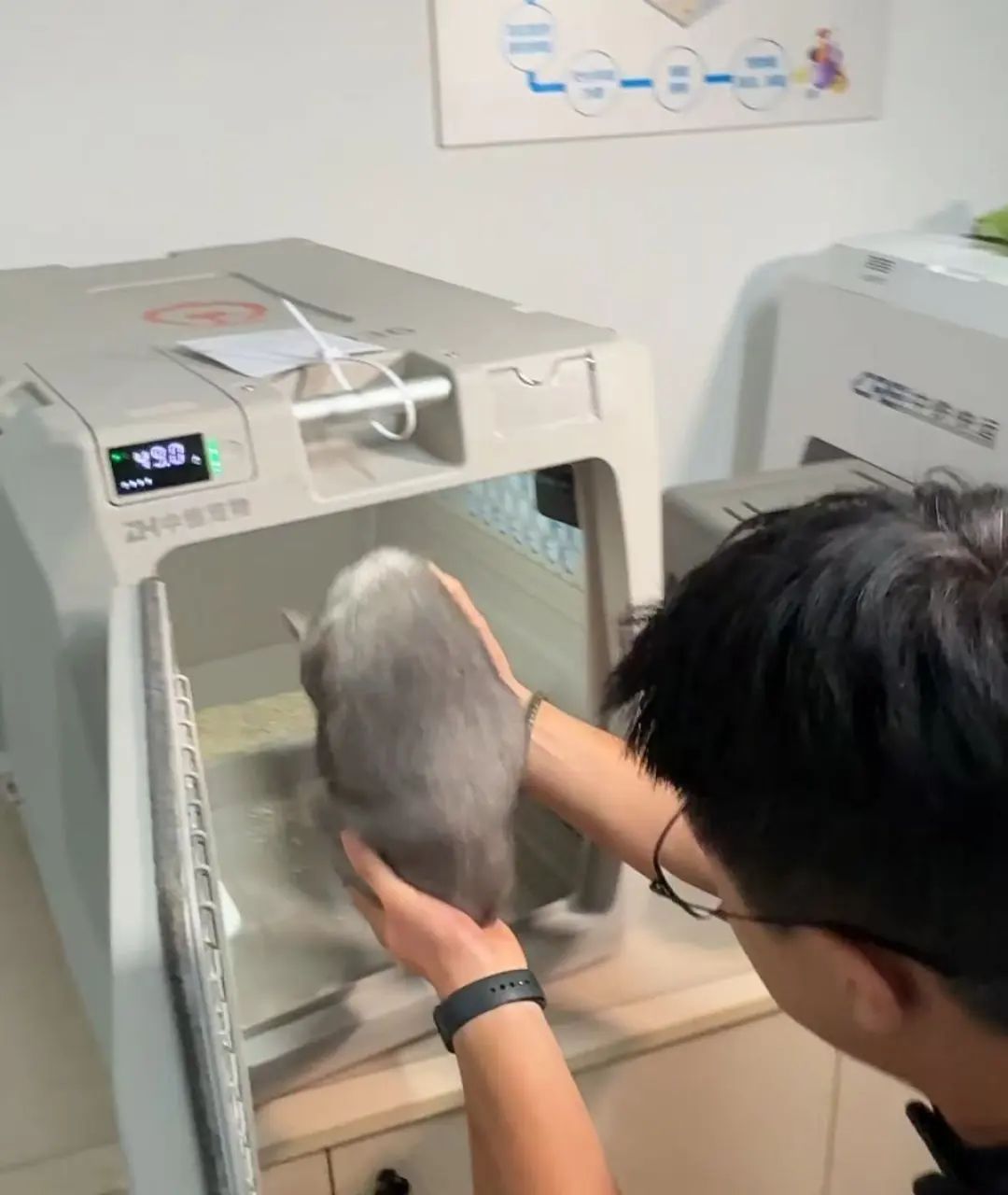 38趟动车组！“毛孩子”能坐的高铁线路加加加
