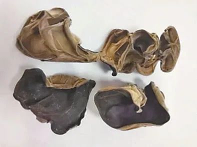 低价黑木耳可能用淀粉“增重”？权威教你四招鉴别