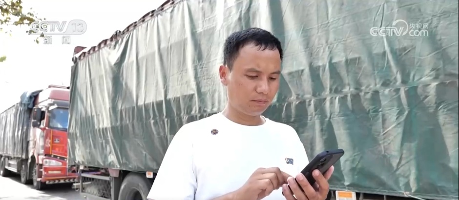 全国夏粮收获过九成 手机操作、线上预约成为今年农民卖粮新方式