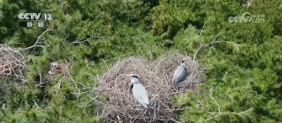 仲夏时节万物繁盛 透过镜头领略万千气象的大美中国 仲夏时节万物繁盛 透过镜头领略万千气象的大美中国