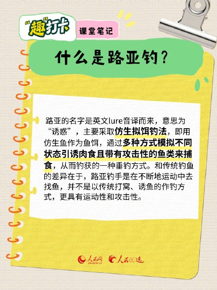 一起“趣”钓鱼！钓鱼新手入门指南