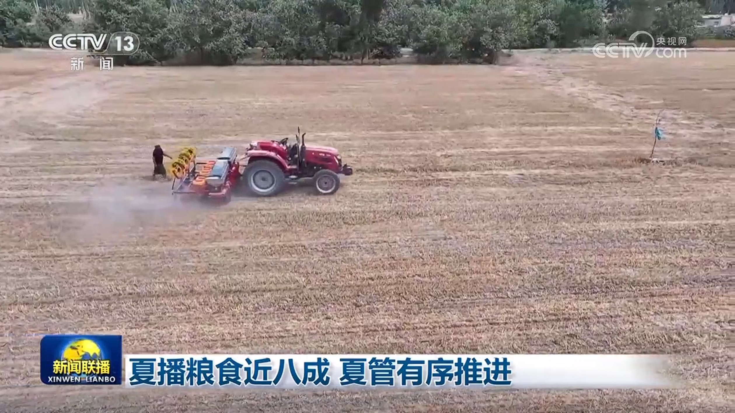 夏播粮食近八成 夏管有序推进