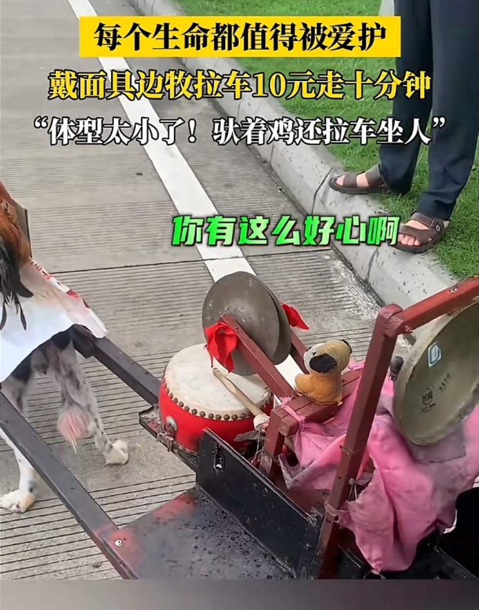 “你再也不是赚钱工具了！”上海女生千里远赴湛江解救，全网心疼的故事有后续了