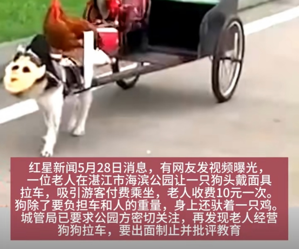 “你再也不是赚钱工具了！”上海女生千里远赴湛江解救，全网心疼的故事有后续了