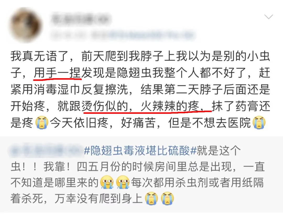 毒液堪比硫酸!女子摸了下脖子就“中招”!千万别碰,有人差点毁容 毒液堪比硫酸!女子摸了下脖子就“中招”!千万别碰,有人差点毁容
