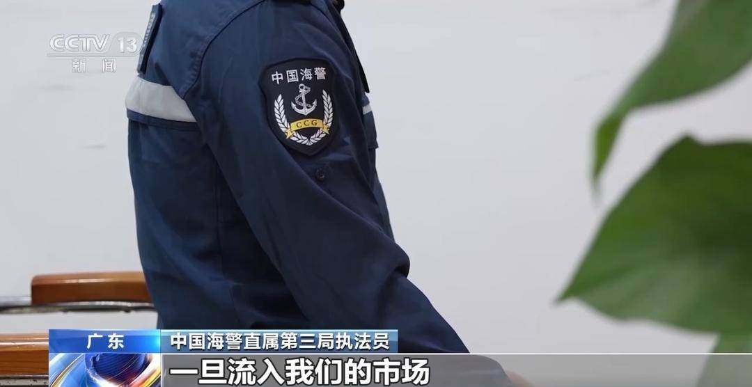 中国海警破获特大跨国贩毒案 登船截获近800千克毒品 中国海警破获特大跨国贩毒案 登船截获近800千克毒品