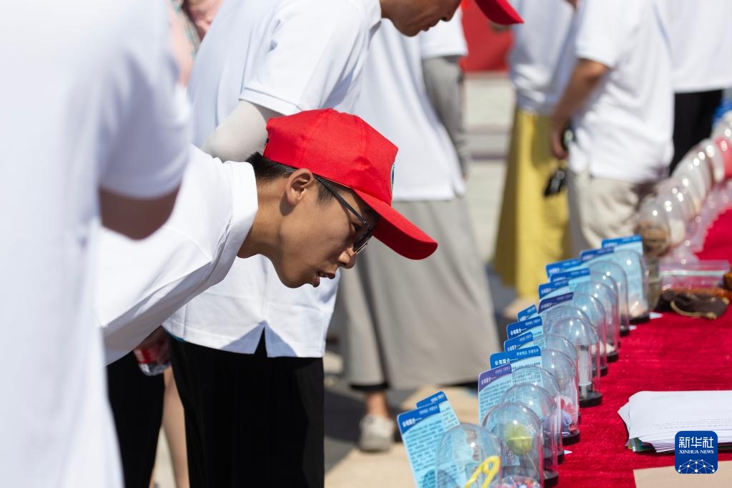 国际禁毒日:健康人生 绿色无毒 国际禁毒日:健康人生 绿色无毒