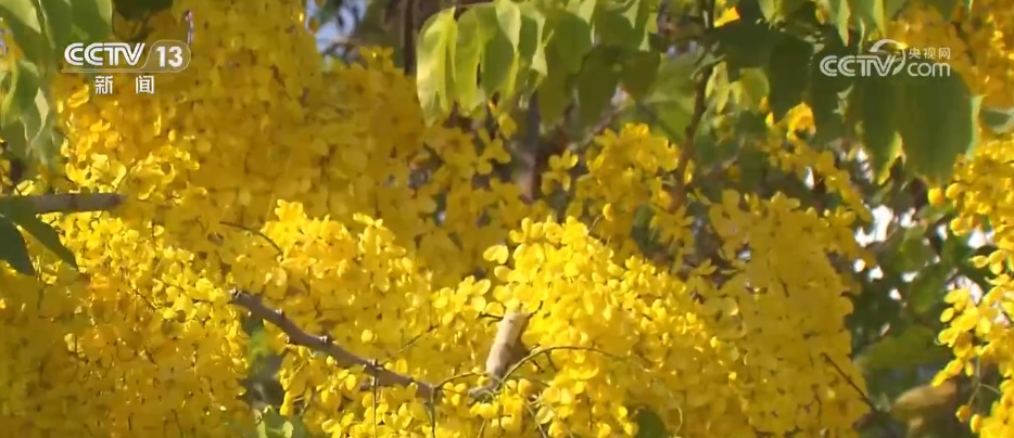 仲夏时节万物繁盛 透过镜头领略万千气象的大美中国 仲夏时节万物繁盛 透过镜头领略万千气象的大美中国