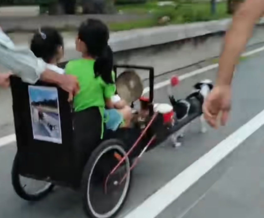 “你再也不是赚钱工具了！”上海女生千里远赴湛江解救，全网心疼的故事有后续了