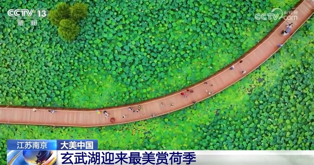 以“景”促业兴、引“客”助增收 青山绿水间畅享“生态游”