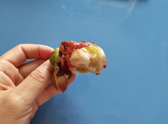 “水果皇后”大量上市！虽然好吃但热量很高