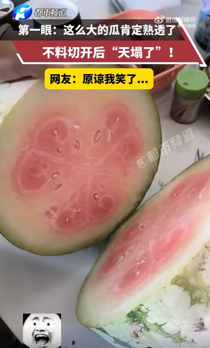 不想开到“生瓜蛋子”,夏天这七种水果就得这样挑!(非常实用版) 不想开到“生瓜蛋子”,夏天这七种水果就得这样挑!(非常实用版)