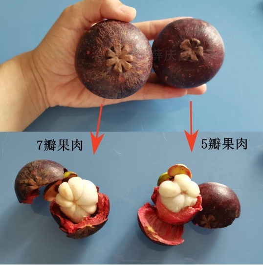 “水果皇后”大量上市！虽然好吃但热量很高