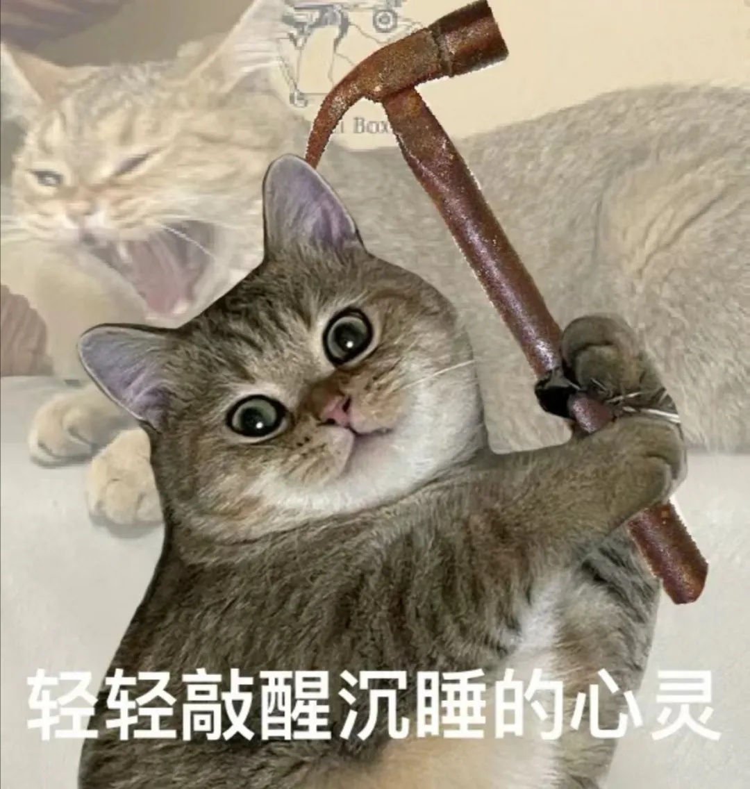 “起床，警察！”