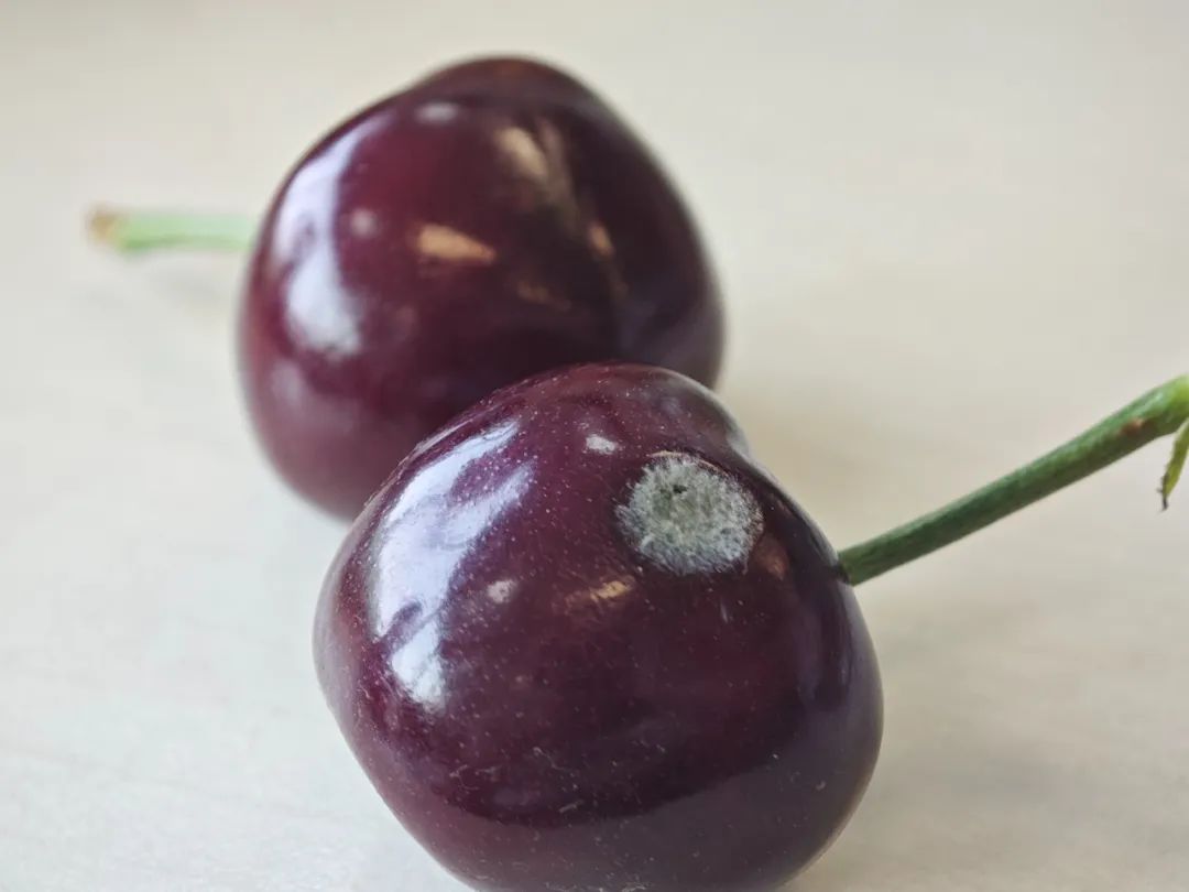 肝不好或会引起全身衰老!这些伤肝的事,有人一天干七八件! 肝不好或会引起全身衰老!这些伤肝的事,有人一天干七八件!