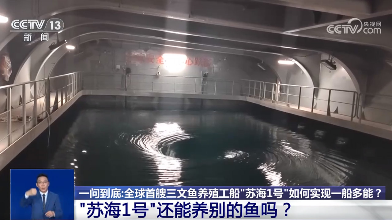 海上“牧鱼”成现实 何时能吃上“苏海1号”养殖的三文鱼？