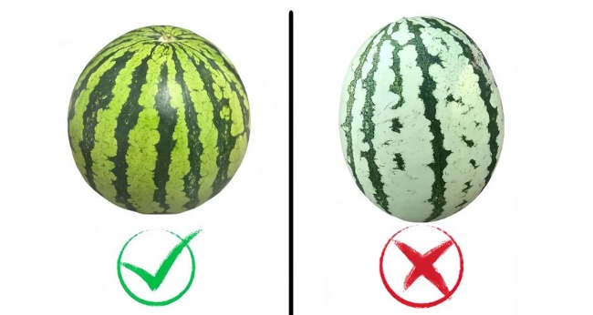 不想开到“生瓜蛋子”,夏天这七种水果就得这样挑!(非常实用版) 不想开到“生瓜蛋子”,夏天这七种水果就得这样挑!(非常实用版)