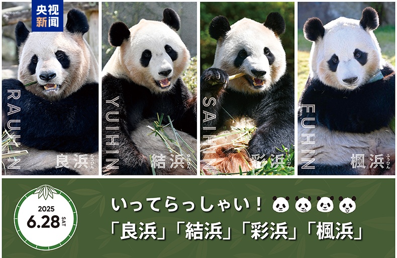 大熊猫“良浜”一家回国在即 日本民众依依惜别