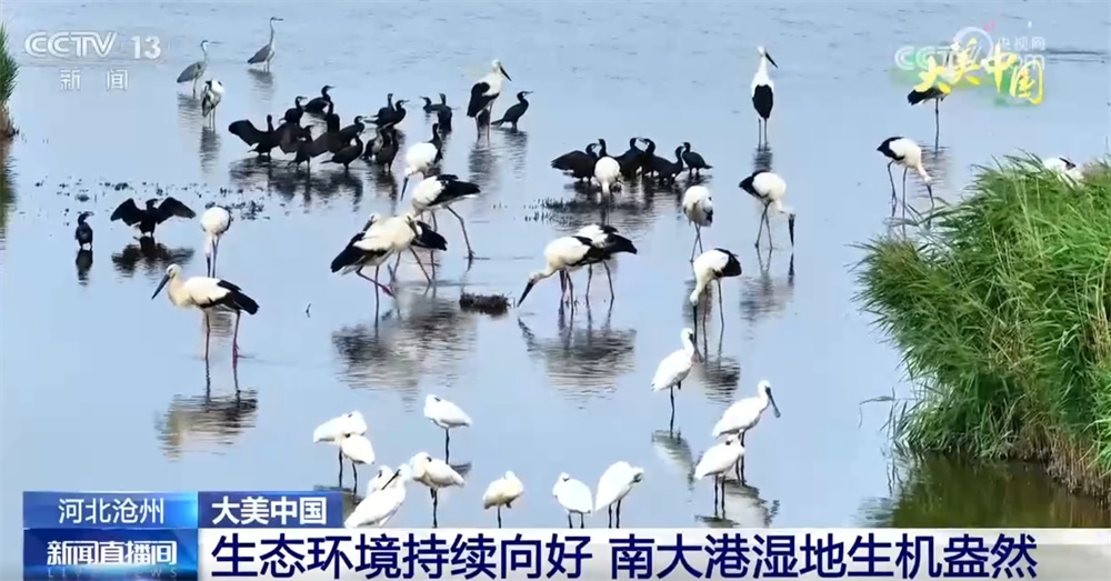 在逐“绿”前行中厚植发展“底色” 大美中国舒展壮阔生态画卷 在逐“绿”前行中厚植发展“底色” 大美中国舒展壮阔生态画卷