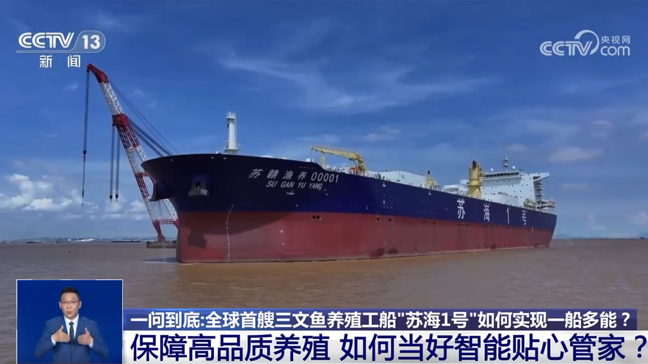 海上“牧鱼”成现实 何时能吃上“苏海1号”养殖的三文鱼？