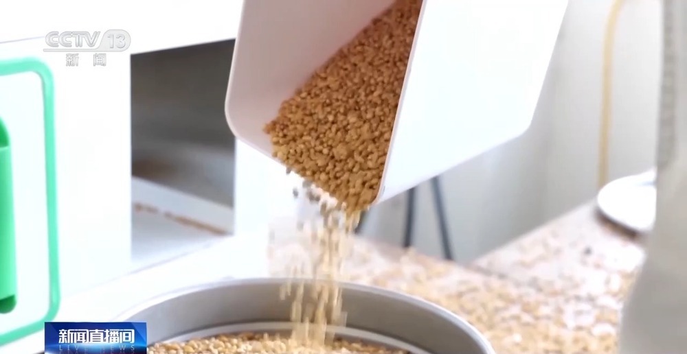 “黑科技”升级粮食“住”进好房子 今年粮食收购储存有新亮点→