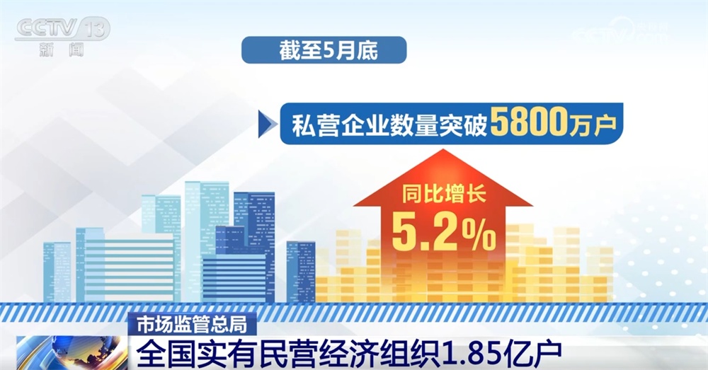 数说私营企业与个体工商户成为推动民营经济稳健前行“双引擎”