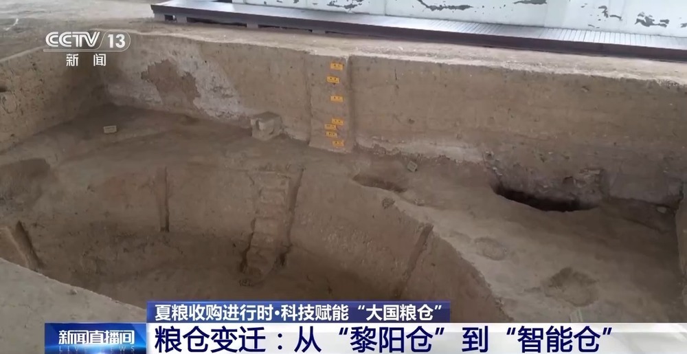 “黑科技”升级粮食“住”进好房子 今年粮食收购储存有新亮点→