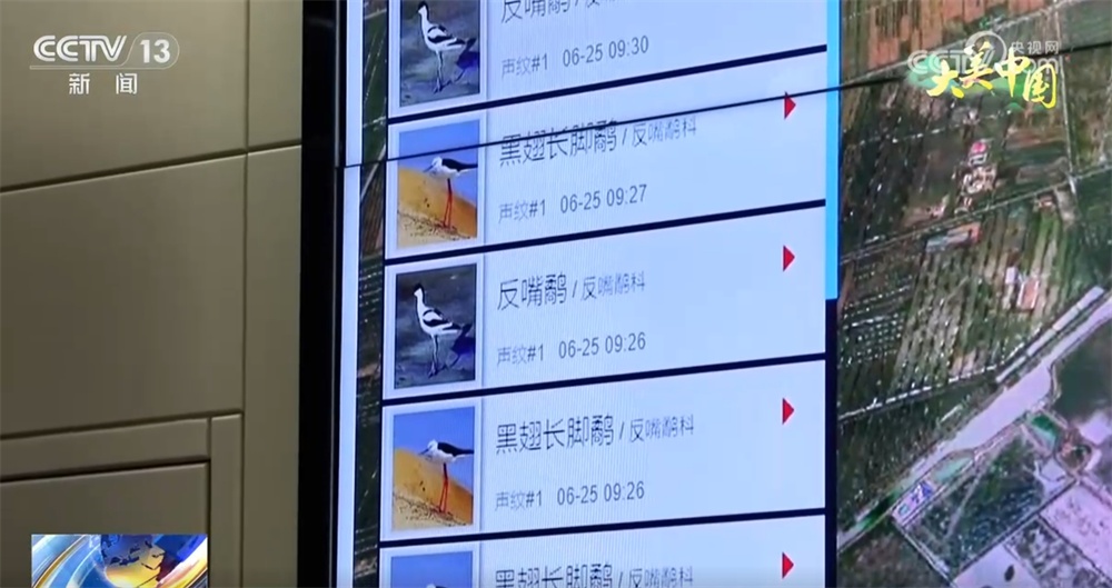 在逐“绿”前行中厚植发展“底色” 大美中国舒展壮阔生态画卷 在逐“绿”前行中厚植发展“底色” 大美中国舒展壮阔生态画卷