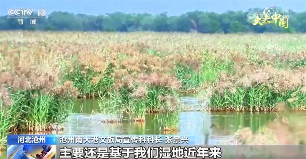 在逐“绿”前行中厚植发展“底色” 大美中国舒展壮阔生态画卷 在逐“绿”前行中厚植发展“底色” 大美中国舒展壮阔生态画卷