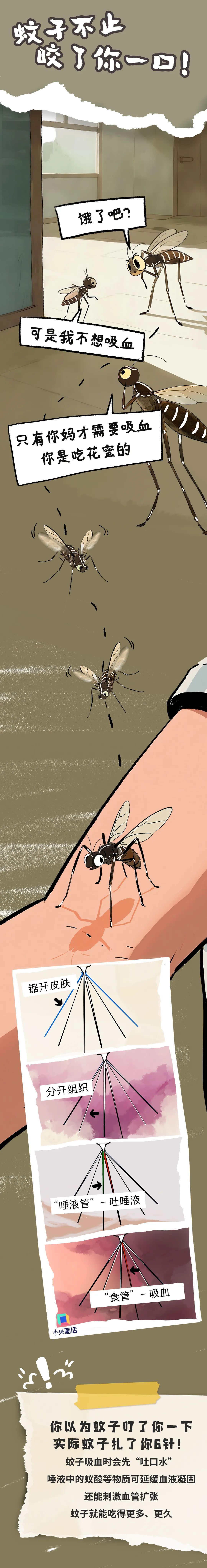 小心!“夺命凶手”一年“杀死”72万人! 小心!“夺命凶手”一年“杀死”72万人!