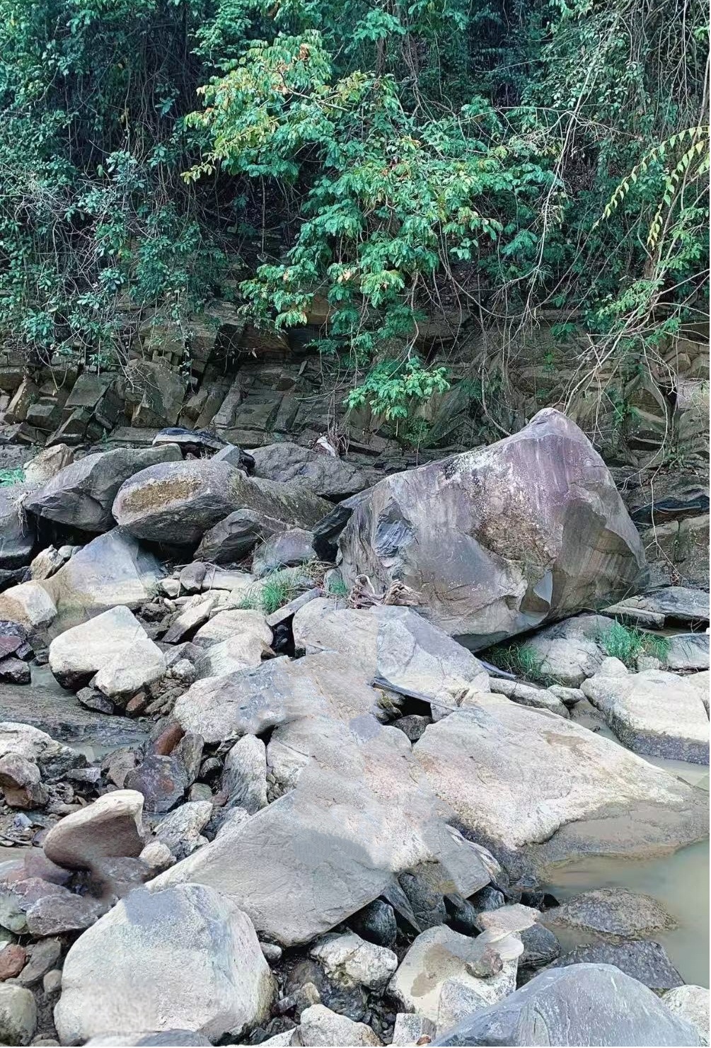 被拐33年后,女儿用37个小时带妈妈回家 被拐33年后,女儿用37个小时带妈妈回家