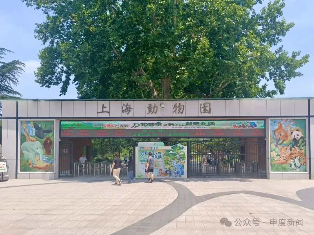 游客夫妻在展馆给婴儿喝奶瓶被赶,上海动物园:不在展馆饮食是文明规范 游客夫妻在展馆给婴儿喝奶瓶被赶,上海动物园:不在展馆饮食是文明规范
