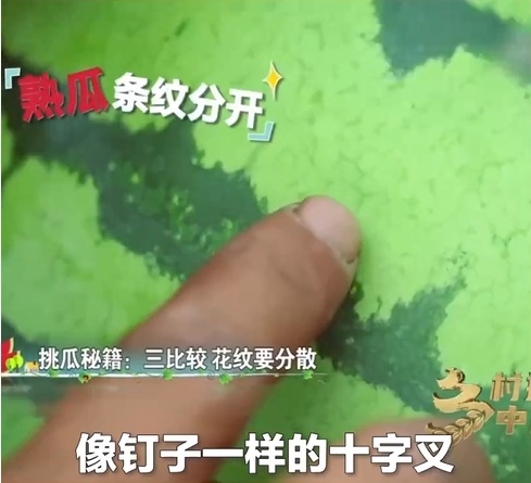 不想开到“生瓜蛋子”,夏天这七种水果就得这样挑!(非常实用版) 不想开到“生瓜蛋子”,夏天这七种水果就得这样挑!(非常实用版)