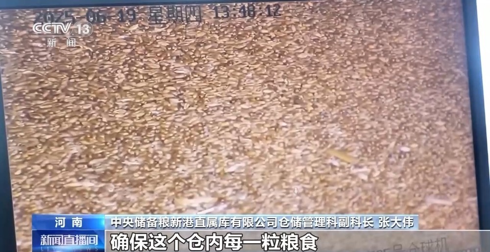 “黑科技”升级粮食“住”进好房子 今年粮食收购储存有新亮点→