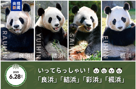 4只旅日大熊猫明日启程回国 日本民众依依惜别大熊猫 4只旅日大熊猫明日启程回国 日本民众依依惜别大熊猫