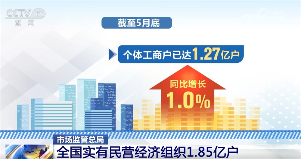 数说私营企业与个体工商户成为推动民营经济稳健前行“双引擎”