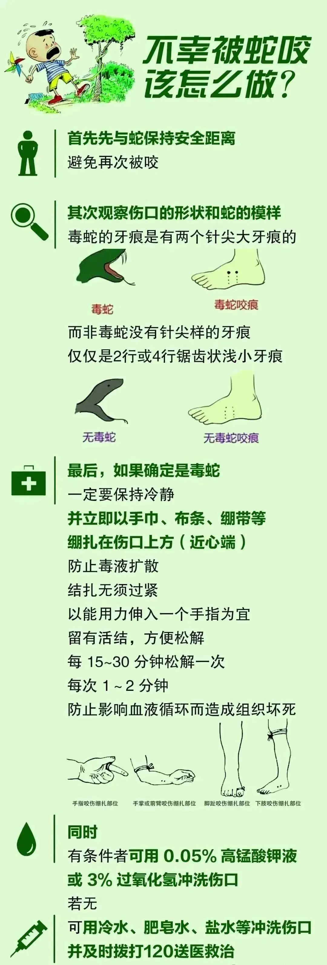 广东这条3米巨蟒“偷羊”被捕，吐出30斤整羊