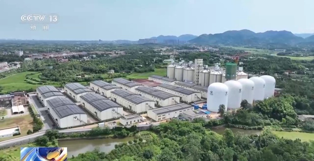 “黑科技”升级粮食“住”进好房子 今年粮食收购储存有新亮点→