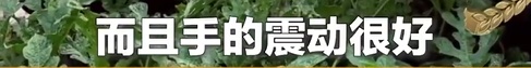 不想开到“生瓜蛋子”,夏天这七种水果就得这样挑!(非常实用版) 不想开到“生瓜蛋子”,夏天这七种水果就得这样挑!(非常实用版)