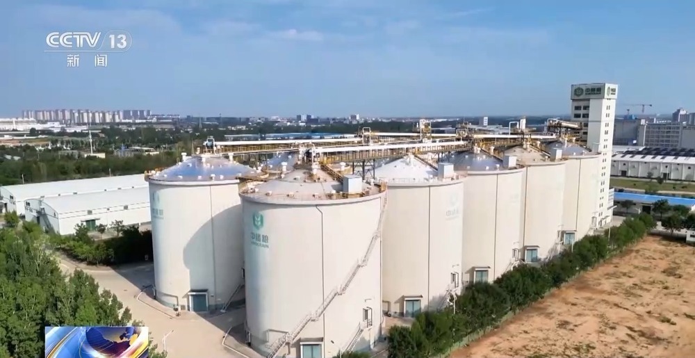 “黑科技”升级粮食“住”进好房子 今年粮食收购储存有新亮点→