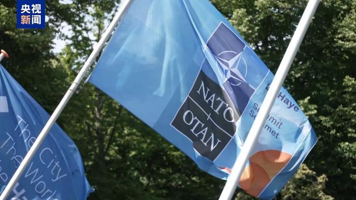 达成军费共识？北约峰会宣言揭示美欧之间“貌合神离”