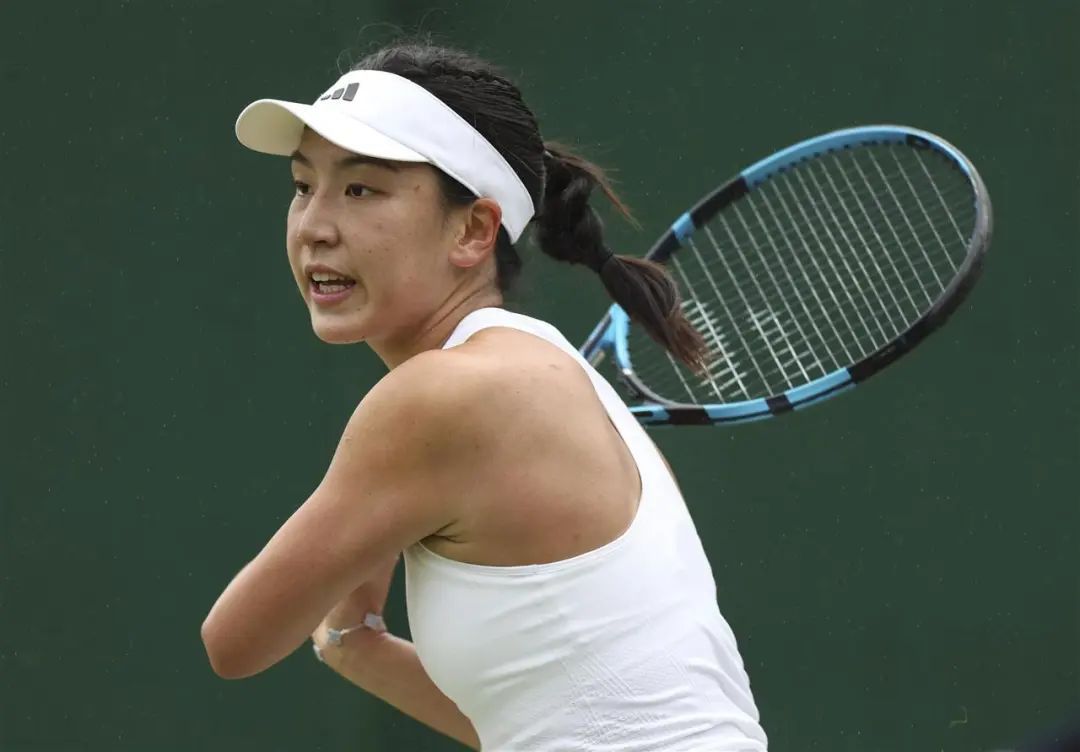 温网签表出炉，中国金花团首战都要打硬仗！郑钦文终于和萨巴伦卡错开了一些