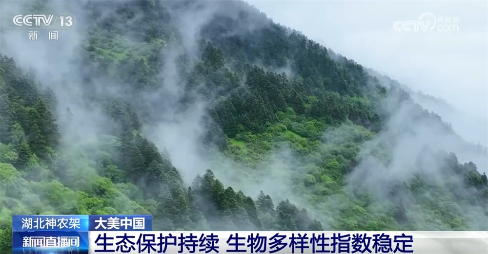 在逐“绿”前行中厚植发展“底色” 大美中国舒展壮阔生态画卷 在逐“绿”前行中厚植发展“底色” 大美中国舒展壮阔生态画卷