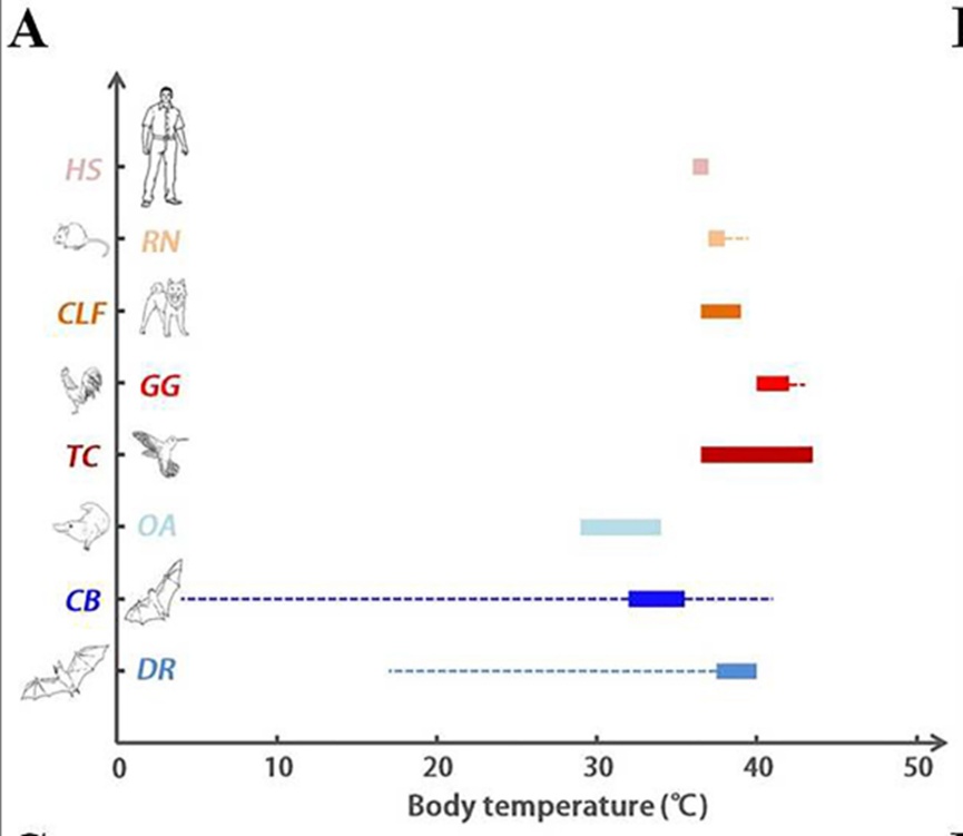 《驯龙高手》热映，想骑“没牙仔”？那可不容易！